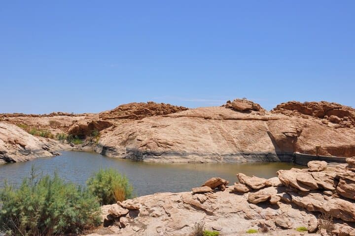 Namib Desert Landscape Tour: Sandwich Harbour, Dunes & Desert Wildlife photo 6