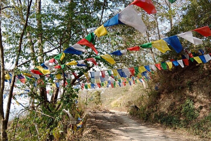 Shivapuri Peak Day Hike from Kathmandu — Summit to 2,732 m photo 6