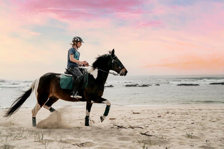 Horseback Riding in Viana do Castelo: Coastal & Mountain Trails from Porto or Braga