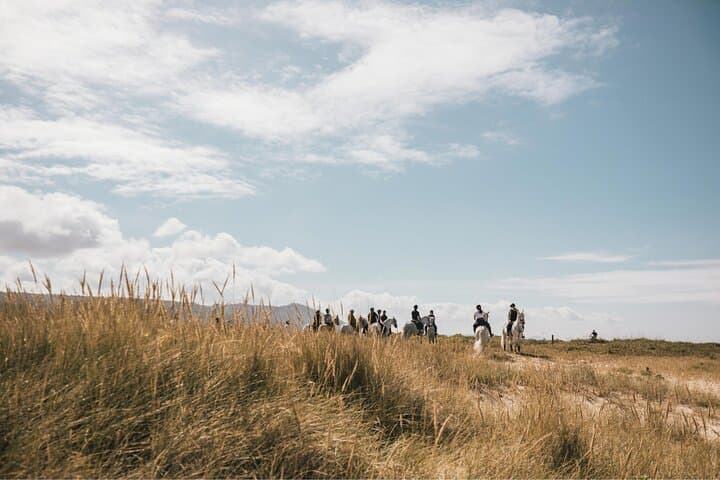 Horseback Riding in Viana do Castelo: Coastal & Mountain Trails from Porto or Braga photo 2