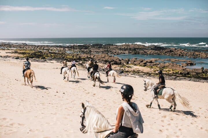 Horseback Riding in Viana do Castelo: Coastal & Mountain Trails from Porto or Braga photo 5