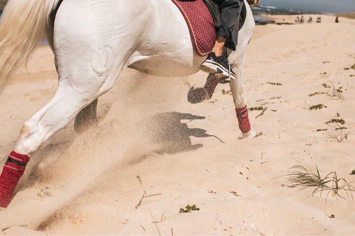 Horseback Riding in Viana do Castelo: Coastal & Mountain Trails from Porto or Braga photo 6