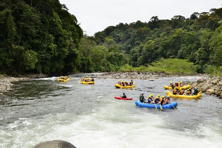Half-Day Sarapiquí Rafting: Class III Rapids & Wildlife on the La Virgen River photo 6