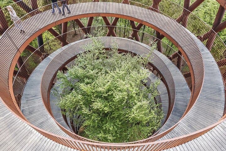 Møns Klint & Forest Tower Day Tour from Copenhagen: Treetop Walk and Chalk Cliffs photo 4