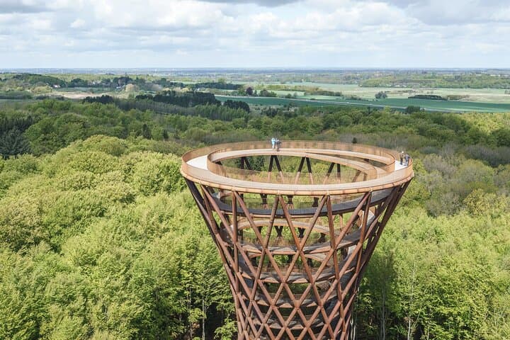 Møns Klint & Forest Tower Day Tour from Copenhagen: Treetop Walk and Chalk Cliffs photo 5