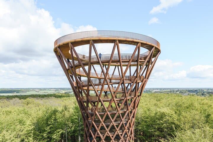 Møns Klint & Forest Tower Day Tour from Copenhagen: Treetop Walk and Chalk Cliffs photo 6