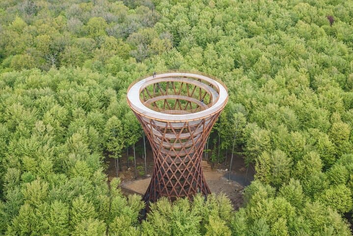 Møns Klint & Forest Tower Day Tour from Copenhagen: Treetop Walk and Chalk Cliffs photo 2