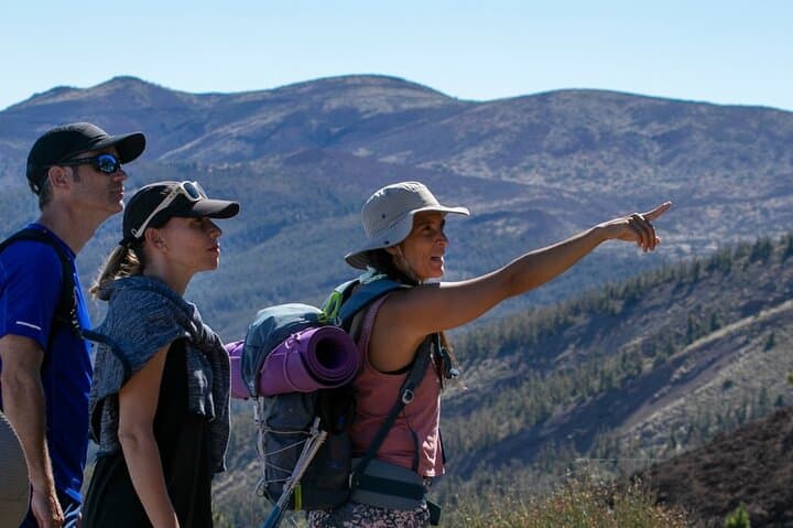 Half-Day Volcanic Experience at Teide — Guided Wellness, Geology & Volcano Walks in Tenerife photo 2