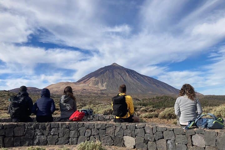 Half-Day Volcanic Experience at Teide — Guided Wellness, Geology & Volcano Walks in Tenerife photo 3