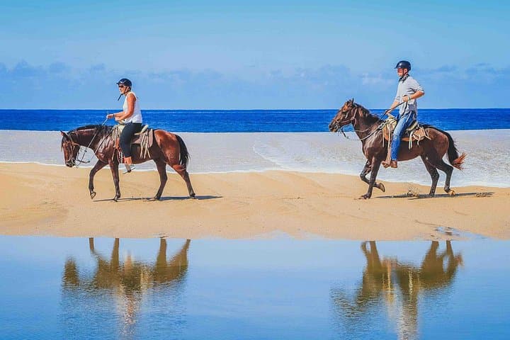 Cabo Horseback Ride to Migrino Beach — Desert-to-Sea Ranch Tour with Tequila Tasting photo 4