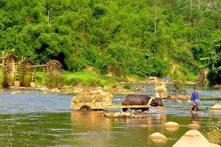 Pu Luong Offbeat Trek: 2-Day Trekking Through Rice Terraces & Bamboo Rafting photo 2