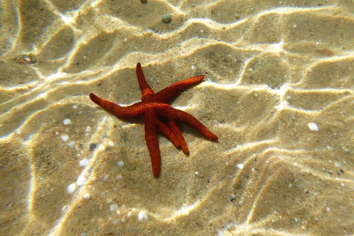 Sea Kayaking Mykonos: North Coast Coves & Snorkel Tour photo 4