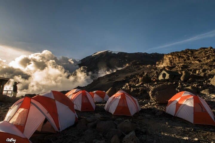 Lemosho Route Kilimanjaro: An 8-Day Summit Adventure to Uhuru Peak photo 4