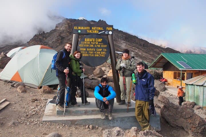 Lemosho Route Kilimanjaro: An 8-Day Summit Adventure to Uhuru Peak photo 5