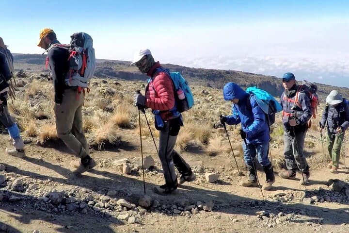 Lemosho Route Kilimanjaro: An 8-Day Summit Adventure to Uhuru Peak photo 6