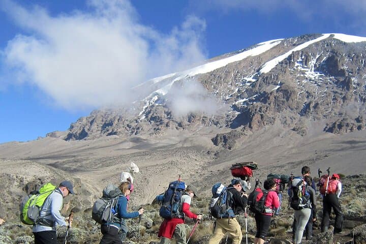 Lemosho Route Kilimanjaro: An 8-Day Summit Adventure to Uhuru Peak