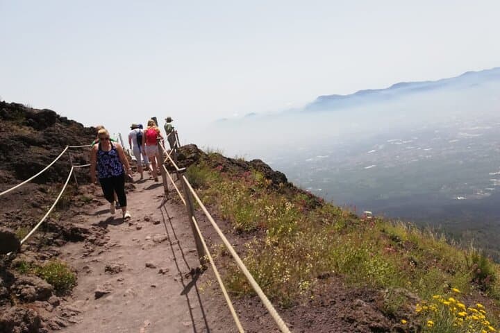 Mount Vesuvius Tour from Ercolano — Skip-the-Line Bus and Crater Walk photo 3