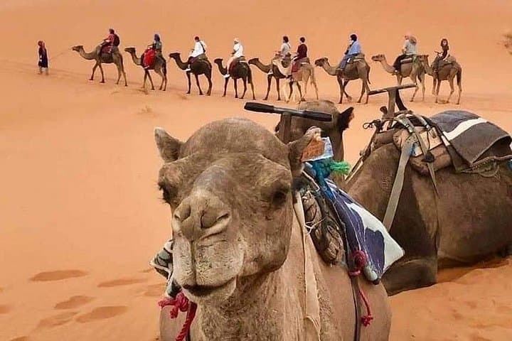 4-Day Marrakech to Merzouga Desert Tour — Camel Trek & Erg Chebbi Camp photo 1
