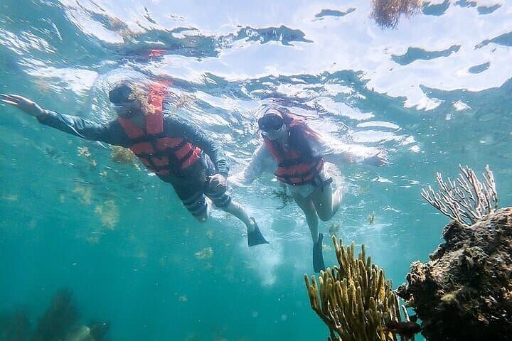 Private Catamaran Party and Snorkel to Isla Mujeres photo 5