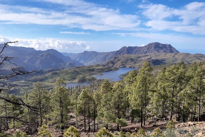 Hiking the North of Gran Canaria: Guided Full‑Day Tamadaba & Ravine Trails