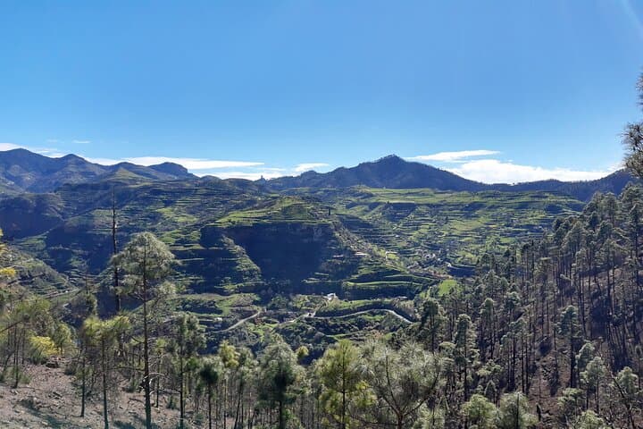Hiking the North of Gran Canaria: Guided Full‑Day Tamadaba & Ravine Trails photo 4