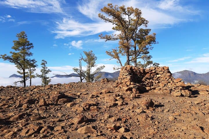 Hiking the North of Gran Canaria: Guided Full‑Day Tamadaba & Ravine Trails photo 3
