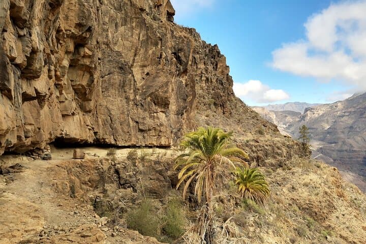 Hiking the North of Gran Canaria: Guided Full‑Day Tamadaba & Ravine Trails photo 2