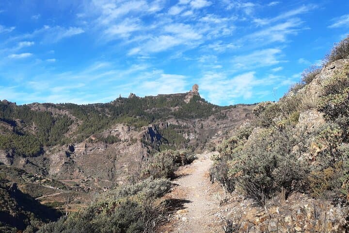 Hiking the North of Gran Canaria: Guided Full‑Day Tamadaba & Ravine Trails photo 6