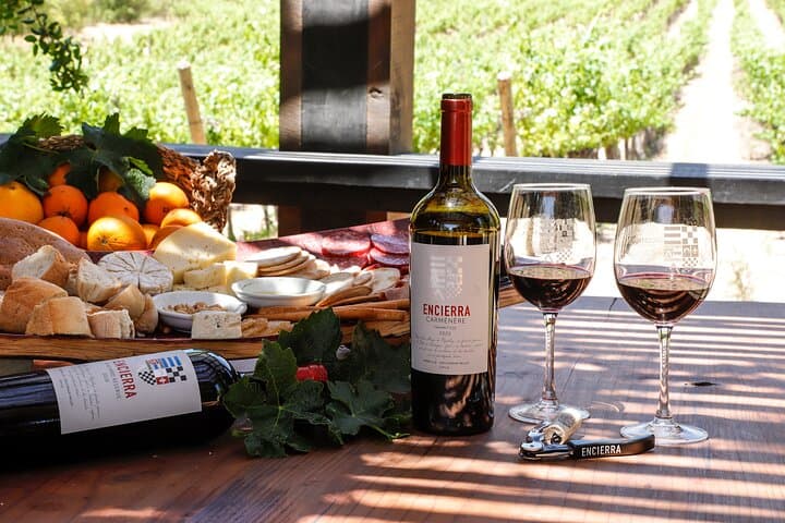 Private Moment Premium Vineyard Tasting Near Santiago, Chile photo 2