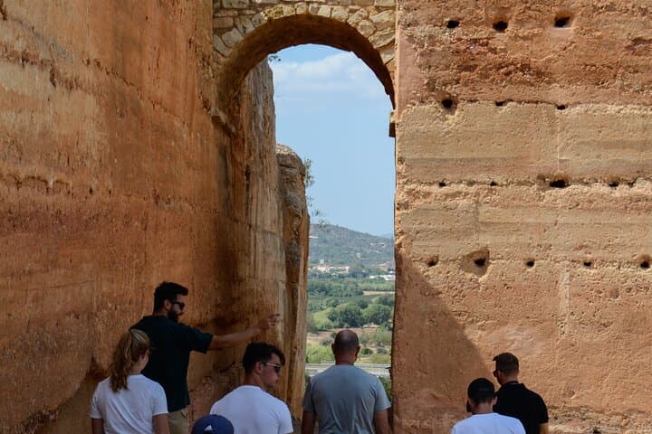Algarve Safari: Half-Day Jeep Tour from Albufeira photo 5