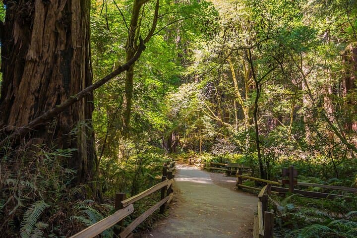 San Francisco, Muir Woods & Sausalito in One Day — Optional Alcatraz Tour photo 5