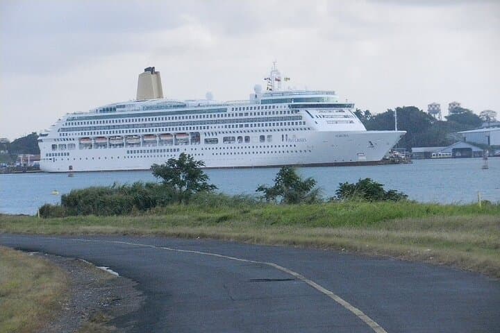 Birding Pipeline Road: Morning Tour from Amador Cruise Port (Panama) photo 4