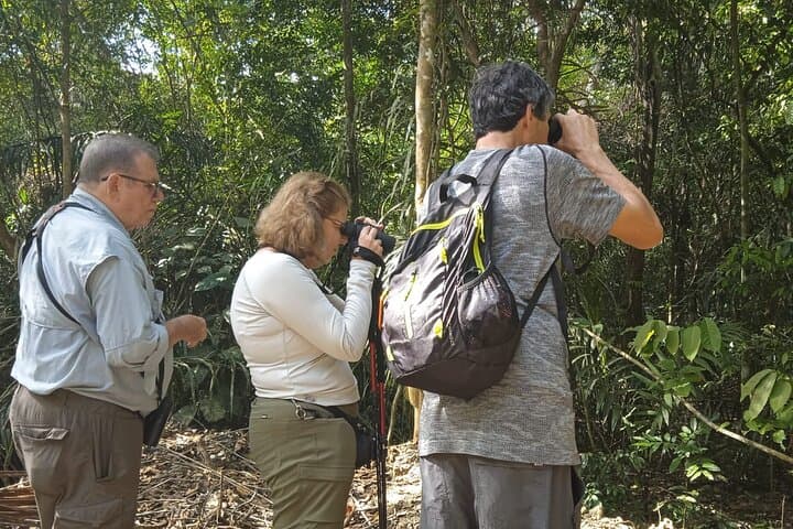Birding Pipeline Road: Morning Tour from Amador Cruise Port (Panama) photo 3