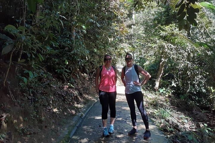 FRIM Rainforest Private Tour — Kuala Lumpur Day Trip to the Forest Research Institute photo 2