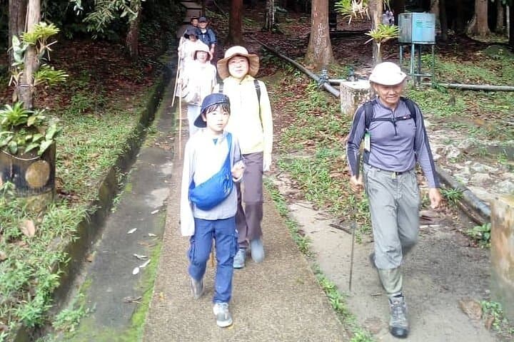FRIM Rainforest Private Tour — Kuala Lumpur Day Trip to the Forest Research Institute photo 4