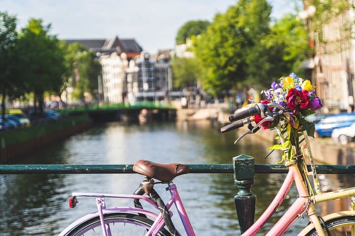 Ride the Dutch Lowlands: Amsterdam Countryside Bike Tour photo 3