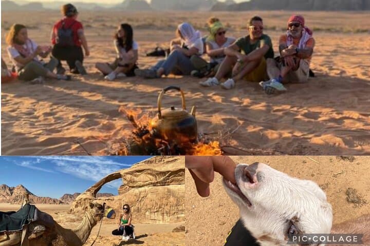 Wadi Rum Full-Day Desert & Farm Tour — Jeep Safari, Farm Visit and Overnight Camp