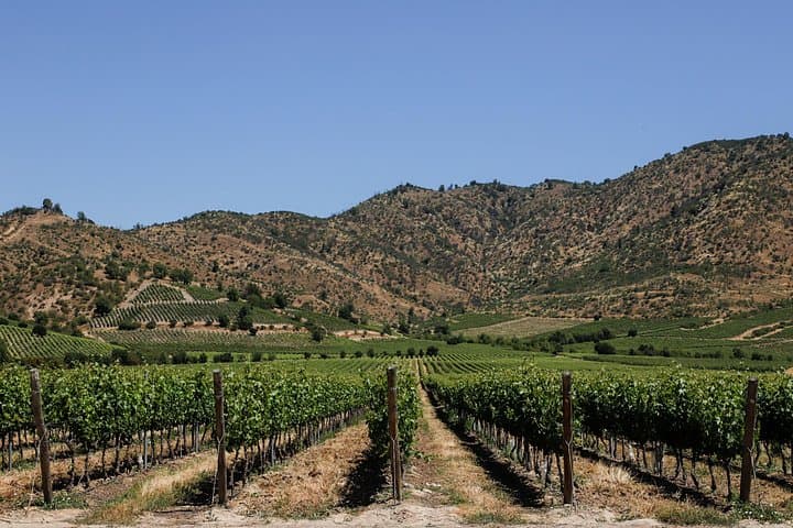 Private Boutique Wine Tasting at Encierra Vineyard Near Santiago photo 6
