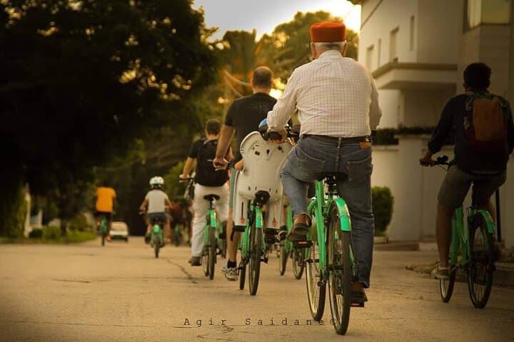 Guided Bike Tour of Carthage Archaeological Site: Pedal the Ancient Ruins photo 2