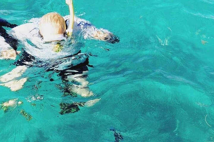 Half-Day Private Charter to Icacos & Palomino Island (Up to 6 Guests) photo 3