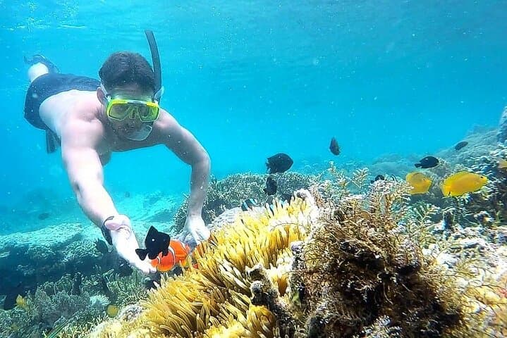 Secret Gili Islands Snorkel Day Trip West Lombok