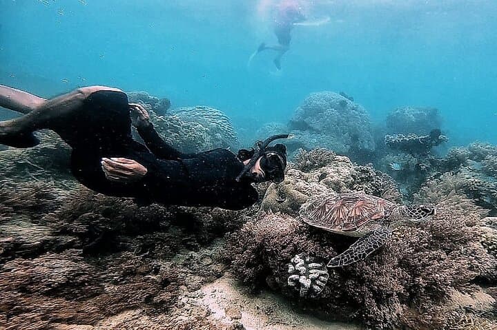Secret Gili Islands Snorkel Day Trip West Lombok photo 4