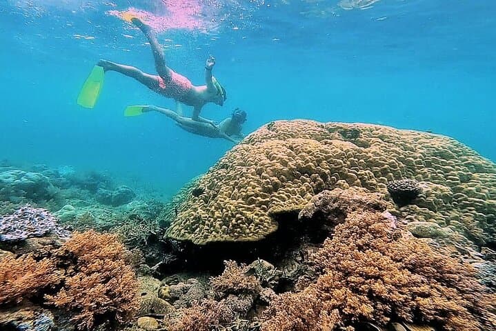 Secret Gili Islands Snorkel Day Trip West Lombok photo 6