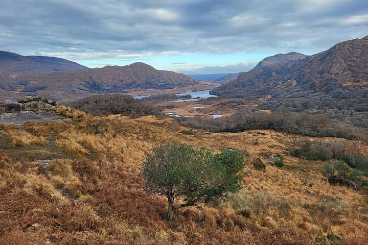 8-Day Guided Ireland Tour from Dublin: Ring of Kerry, Cliffs of Moher & Connemara photo 3