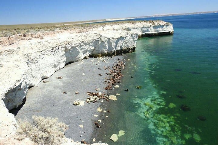 Puerto Madryn City Tour and Punta Loma Sea Lion Colony Excursion photo 4