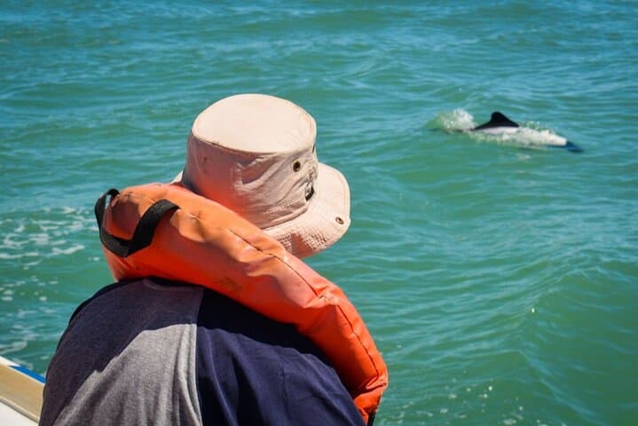 Punta Tombo Penguin Colony Tour from Puerto Madryn — Penguins & Toninas Watching photo 4