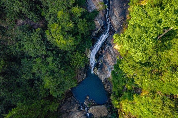 8-Day Private Sri Lanka: Sigiriya, Tea Country, Wildlife & Southern Beaches photo 5