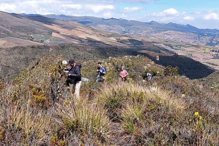 Hike Sumapaz: Exploring the World's Largest Páramo from Bogotá photo 6