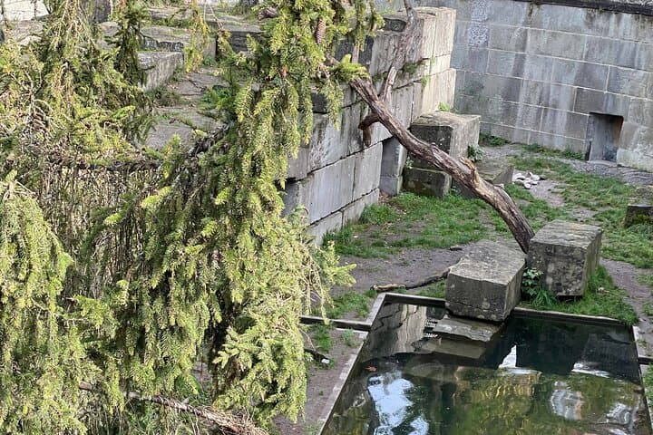 Bern UNESCO Old Town Walking Tour — Einstein, Fountains & Local Flavors photo 3