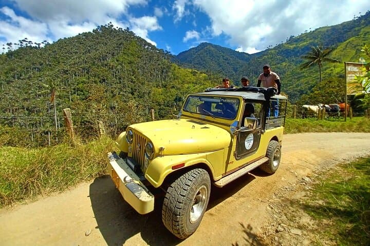 La Carbonera Wax Palm Sanctuary: Salento’s High-Andean Forest Tour